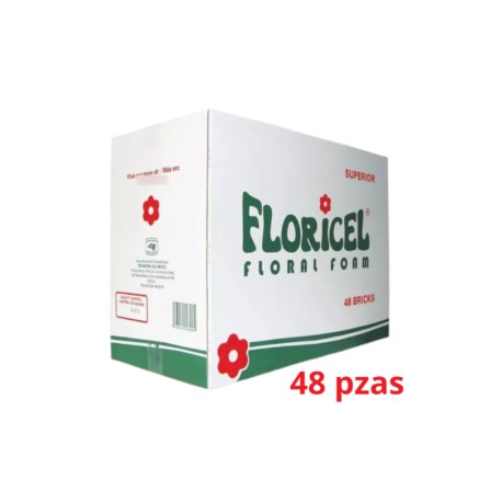 OASIS NATURAL caja 48pzas